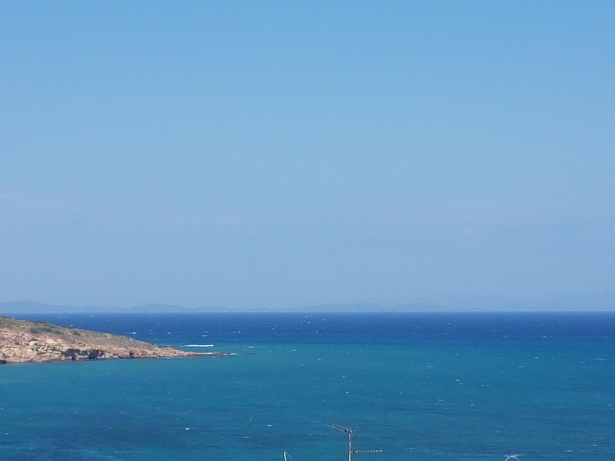 קרפס Evangelia מראה חיצוני תמונה